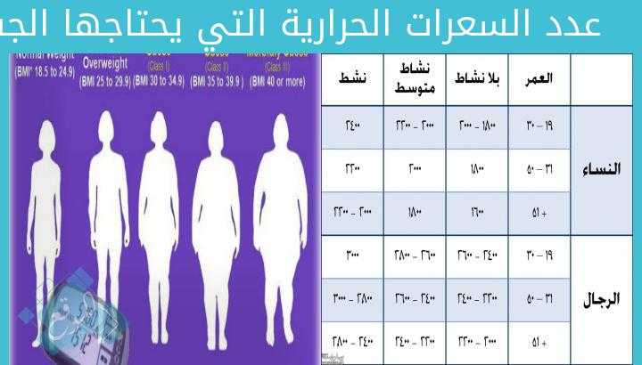 ما هو جدول السعرات الحرارية للرجيم بالتفصيل , جدول مهم جدا عليك معرفته