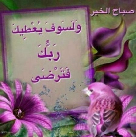 الصور عن صباح الخير , صور مكتوب عليها صباح الخير روووعه