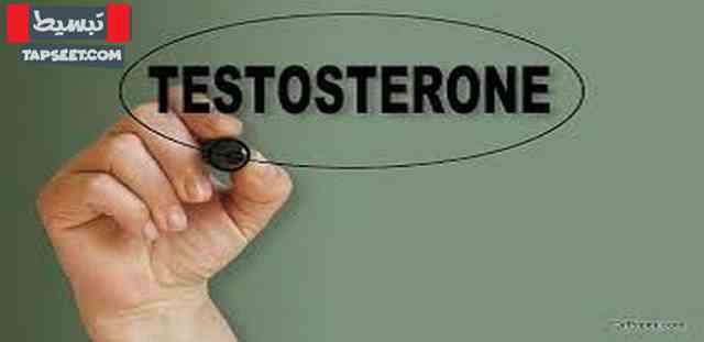 1665 1 علاج نقص هرمون التستوستيرون عند الرجال - علاج فعال وسريع تعالو اعرفوا التفاصيل مي طهى